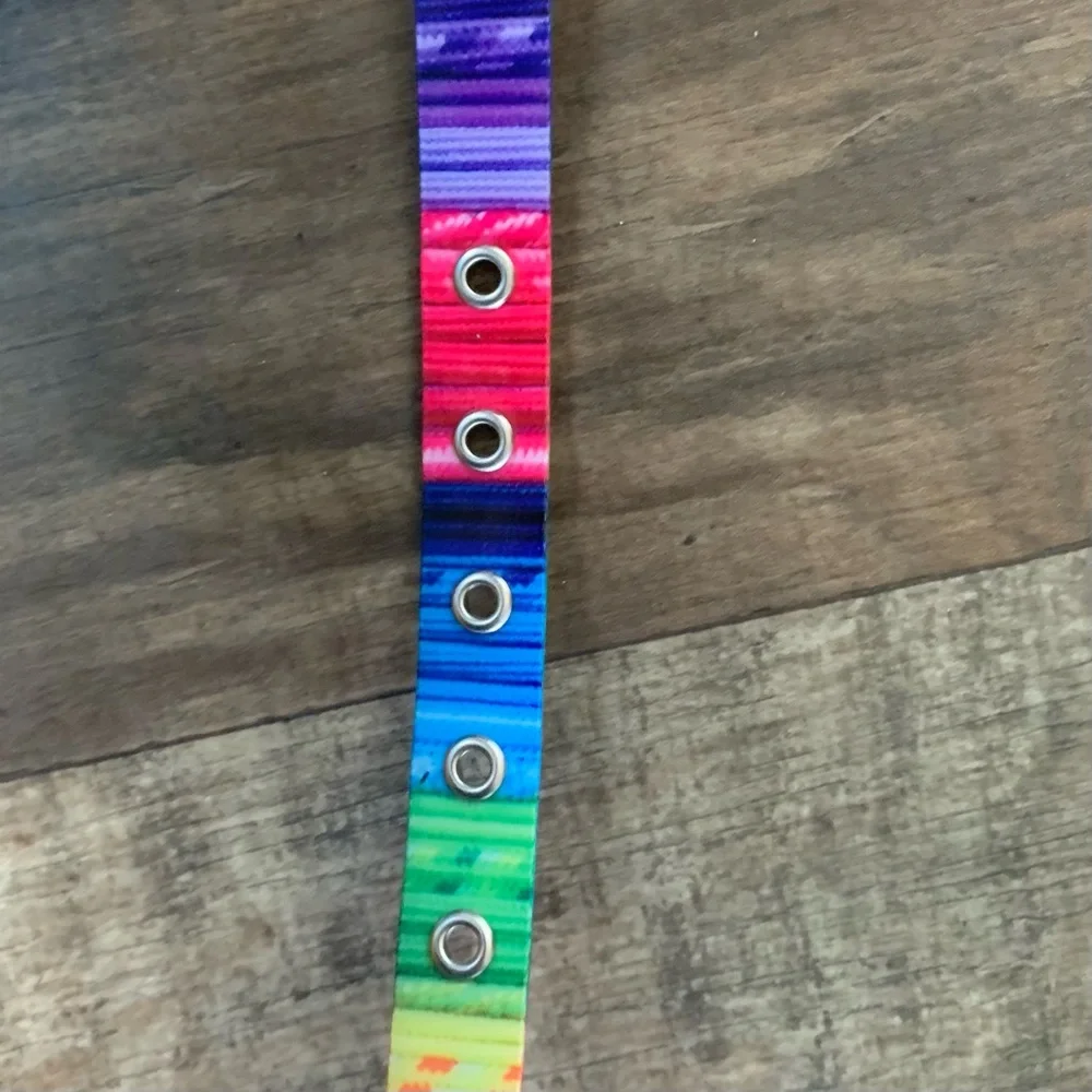 New Top Paw Small easy clean rainbow buckle collar
